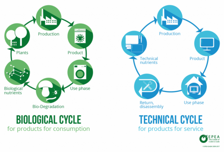 Cradle to Cradle, Life Cycle Assessment and Circular Economy A love