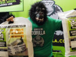 Green Gorilla